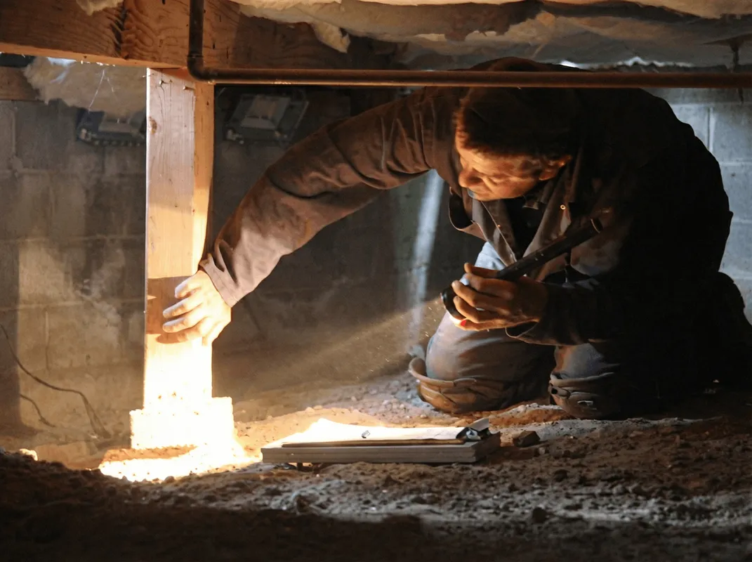 A professional inspecting wooden beams under the floor of a structure in Green Bay, WI